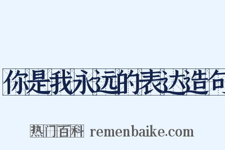你是我永远的表达造句是什么意思的图片